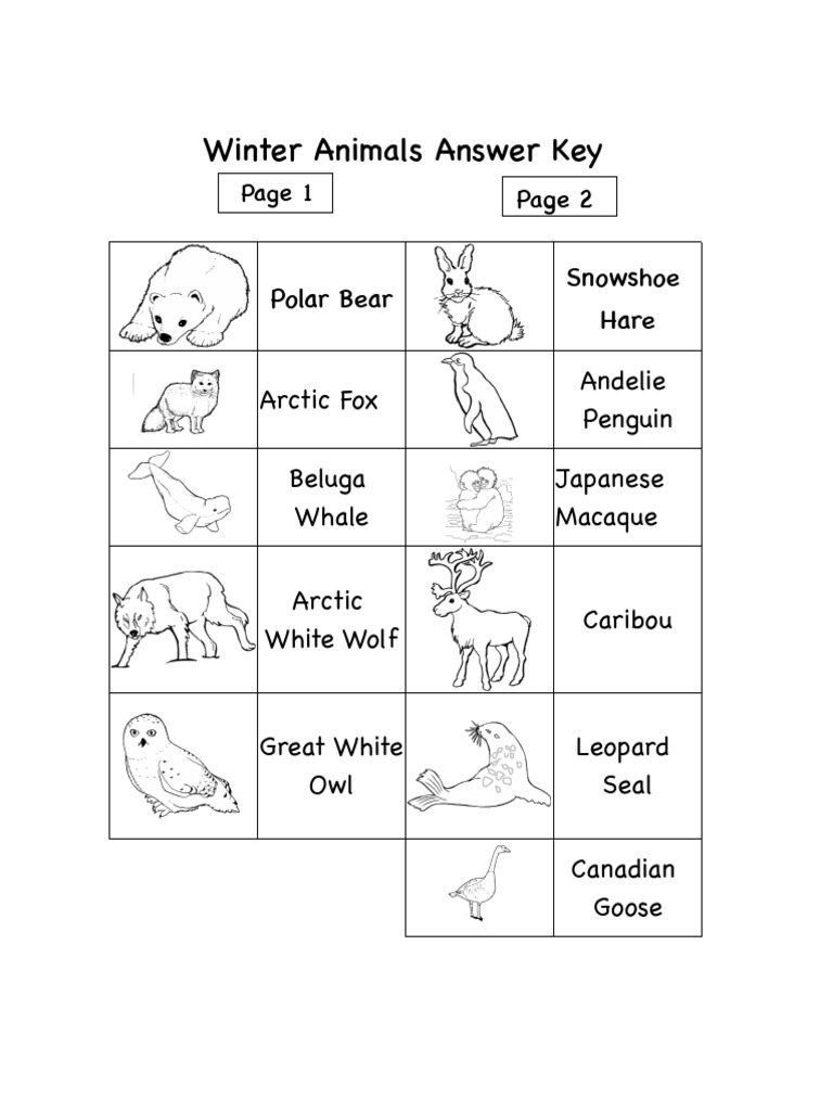 Winter AnimalsTreble Clef Notes Answer Key PDF
