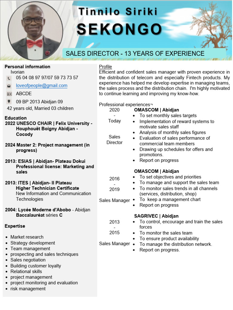 CV Pro Siriki en | PDF | Business