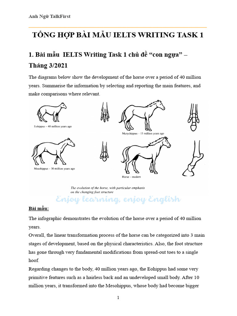 Bai mau ielts writing task 1 anh ngu talkfirst 1 pdf wool bridge