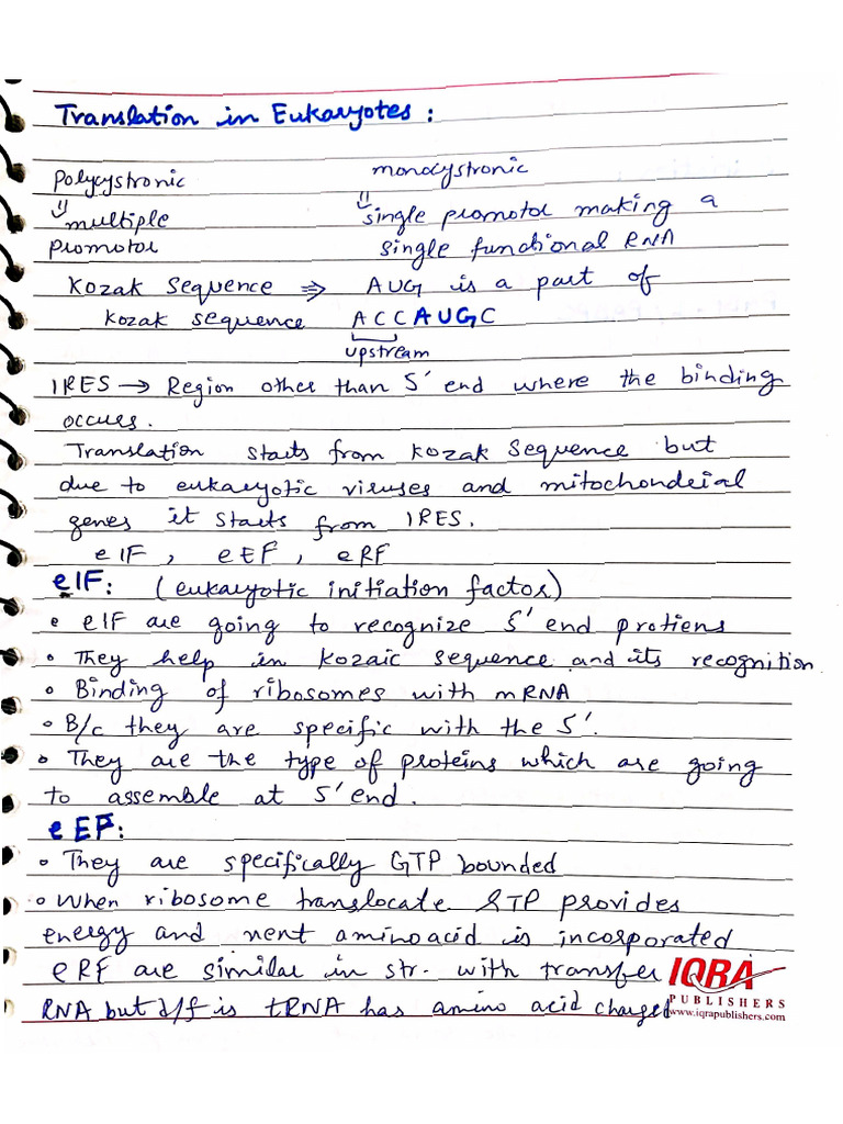 Molecular Bio Handwrittern Notes DNA Structure, Repliction | PDF