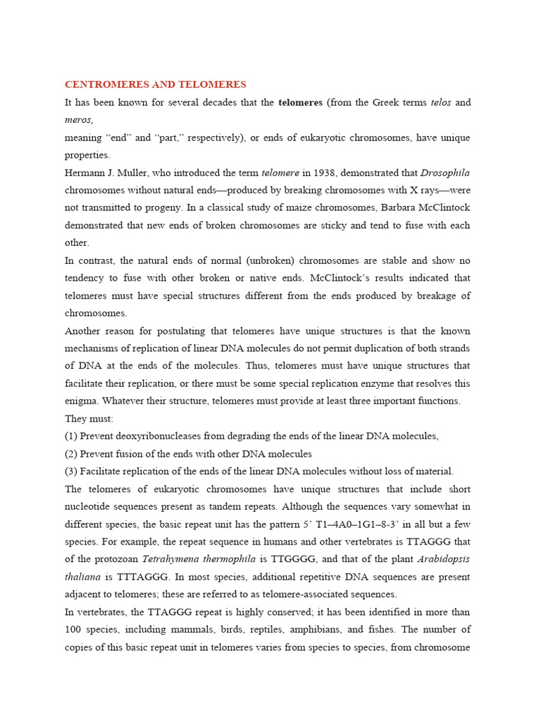 Centromeres And Telomeres Pdf Telomere Senescence
