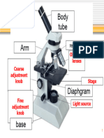 Y1 Biology (2023) - Microscope - Label The Parts