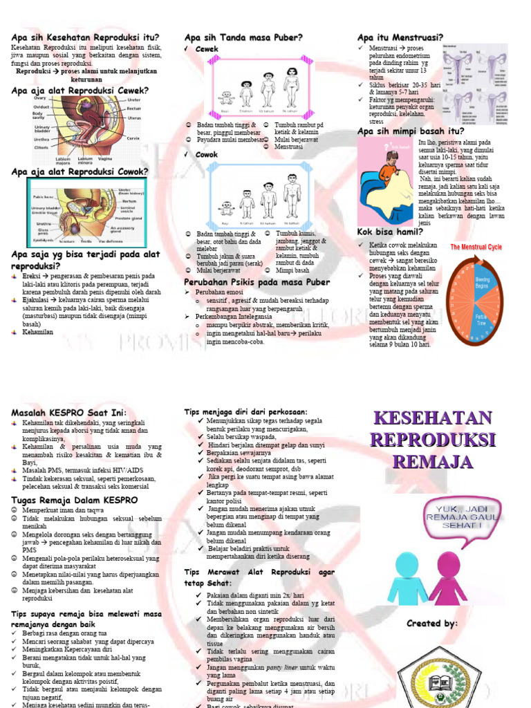 Kesehatan Reproduksi untuk Remaja | PDF