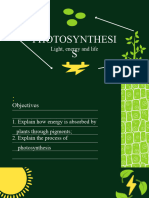 Photosynthesis Intro