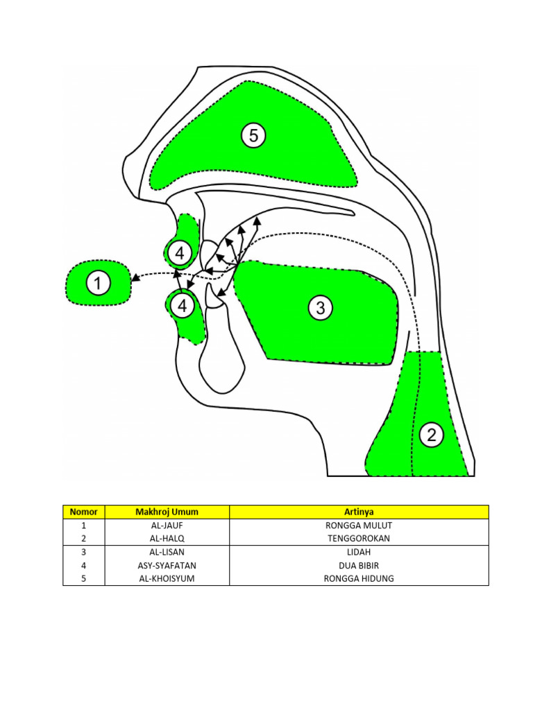 Gambar Makhorijul Huruf Umum Dan Nomor | PDF