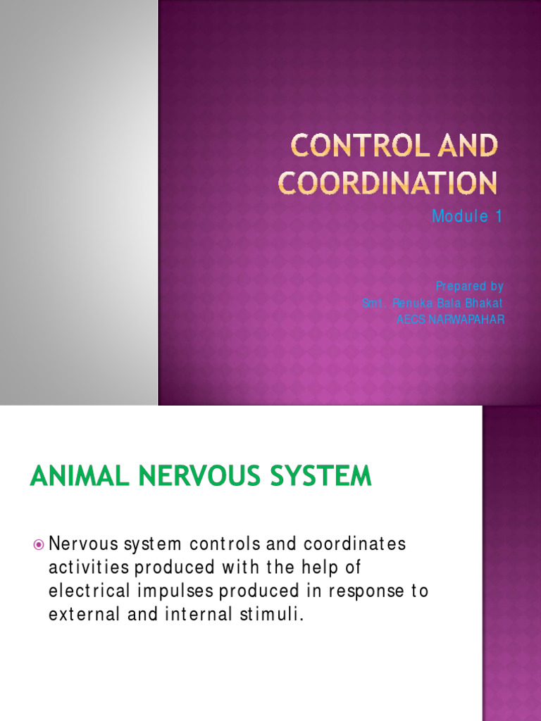 Control and Coordination in Biology | PDF | Neuron | Cerebrum