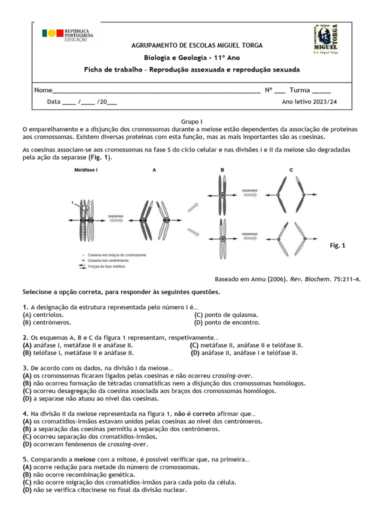 Ficha de trabalho sobre reprodução assexuada e sexuada I | PDF | Meiose ...