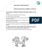 Regras para A Aula Pratica e Roteiro