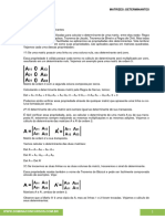 07 Matrizes Determinantes