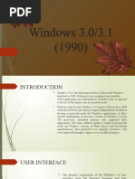 Windows 3.0 REPORT