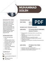 CV Resume Msoleh