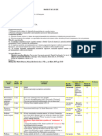 Proiect de Lectie - SUA Democratie