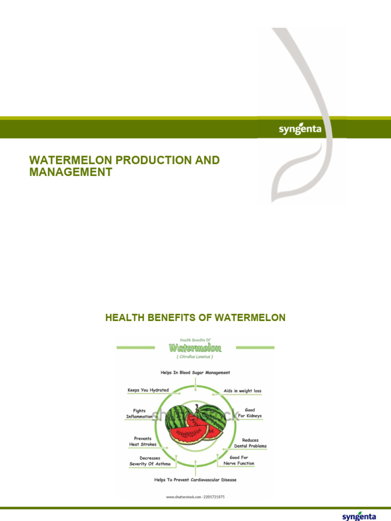 Watermelon Farming Guide for Zimbabwe | PDF | Watermelon | Soil