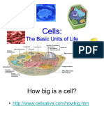 Cell Parts 09 0