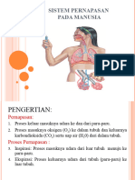 Sistem Pernapasan Manusia Kelas XI Mipa