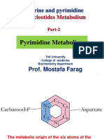 17.nucleotides Metabolism Part 2