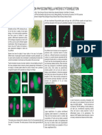 PPcytosq