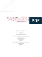 The Standard Model of Particle Physics and One-Loop Renormalisation in Electrodynamics