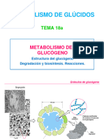 Tema 18a. Metabolismo Del Glucógeno