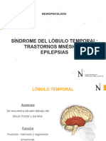 Sesión N°10 Trastornos Del Lóbulo Temporal