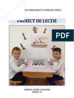 Proiect Didactic - Petre Valentina