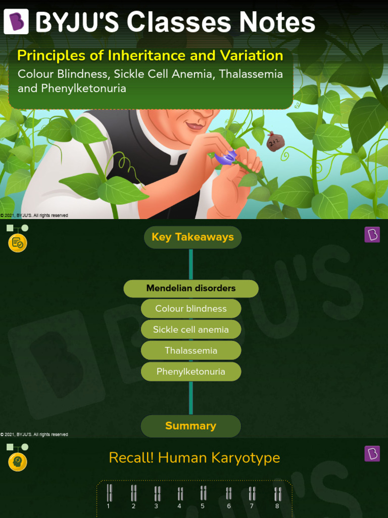 12Mendelian Disorders Part 2. PDF