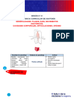 Trabajo de Anatomia Alfa Premedica 2024 01