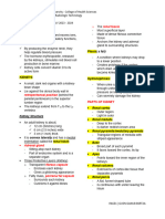 Urinary System