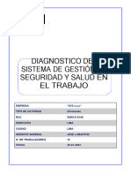 Diagnostico Del S.G. en SST