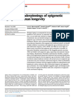 Multi-Omic Underpinnings of Epigenetic Aging and Human Longevity