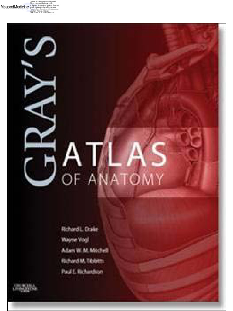 Gray's Anatomy Atlas PDF Download | PDF