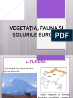 0 5vegetatia Si Fauna Europei