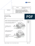 06 - Biologia e Geologia - 11º Ano - Ciclo Celular - Iniciação