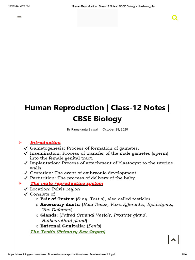 Human Reproduction Class 12 Notes Cbse Biology Cbsebiology4u Pdf