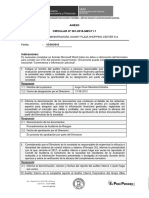 Rpta Circular 381 Aspectos Auditoria