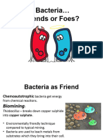 11 1 LS Bacteria... Friends or Foes