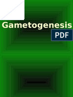 05 Gametogenesis