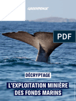 Greenpeace Livre Blanc Exploitation Miniere Des Fonds Marins