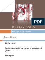 Circulatory System