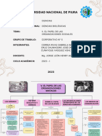 Grupo 5. v. El Papel de Las Organizaciones Sociales