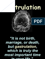 08 Gastrulation