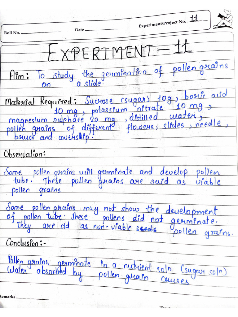 Xii Experiment 11 To 15 | PDF