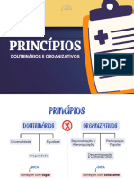 BÔNUS - Principios Doutrinários e Organizativos