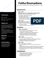 Curriculum Vitae