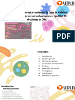 PresentaciÃ N Salud y Ciencia Ilustraciones Coloridas Fondo Blanco