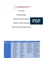 Cuadro de Patologias Segundo Parcial