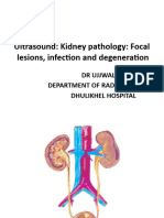 Kidneys Focal Lesions, Degeneration and Inflammation