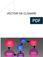 C5. Vectori de Clonare