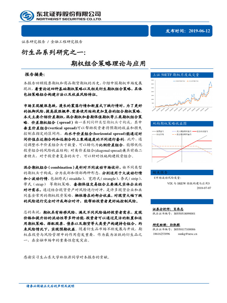 期权组合| PDF