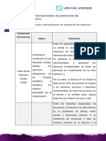 Instrumentos Internacionales de Protección de Derechos Humanos